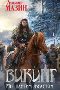 Мы платим железом